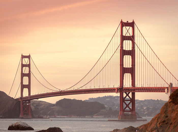 网页在线发短信平台